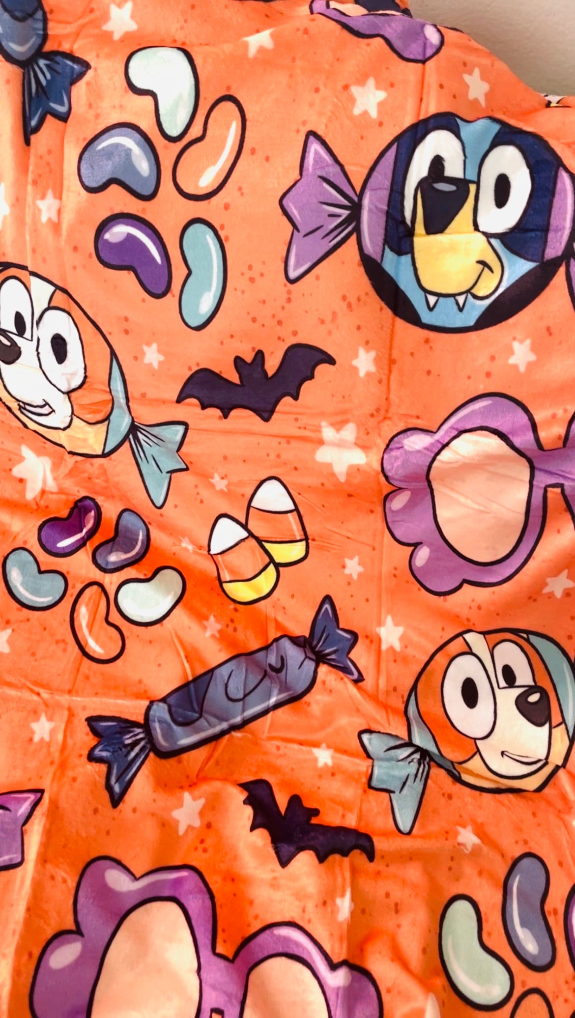 Trick or Treat Minky Blanket - Preorder